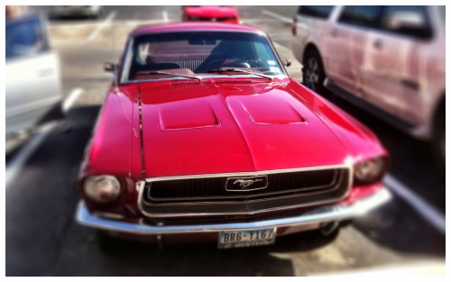 Another Red Mustang