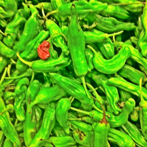 South American Peppers