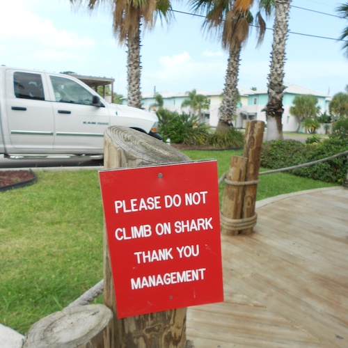 Please do not climb on the shark
