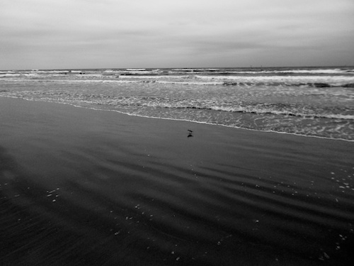 Beach in Black and White