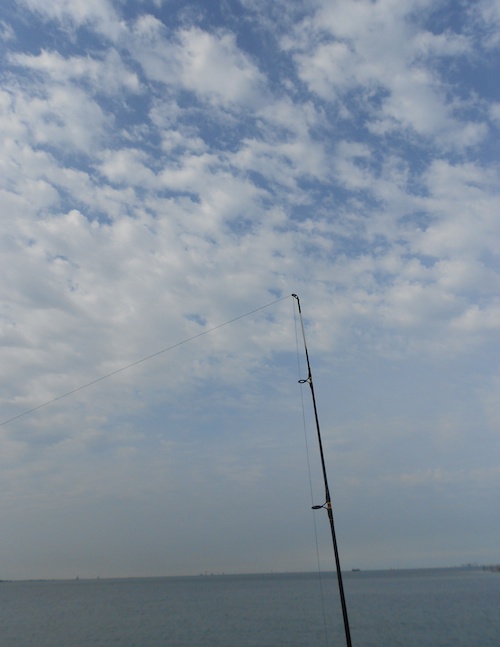 Fishing Corpus Christi Bay