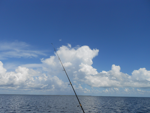 Coastal Fishing Pole