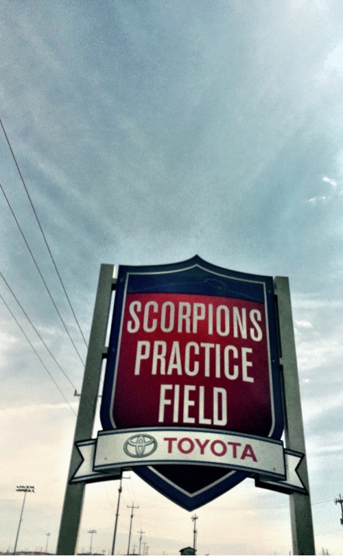 Scorpion Practice