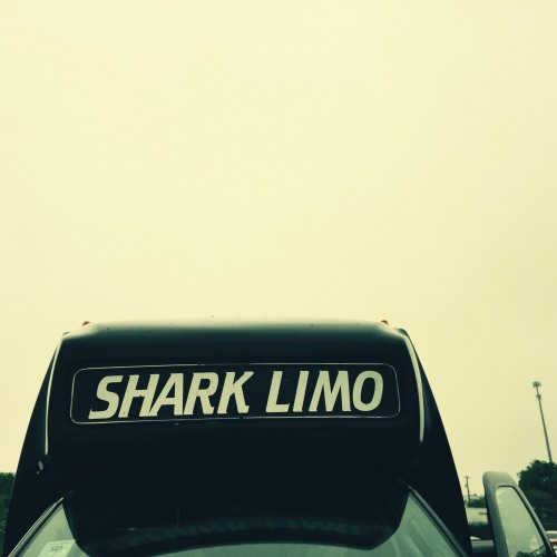 Shark Limo