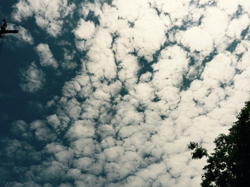 Summer Clouds