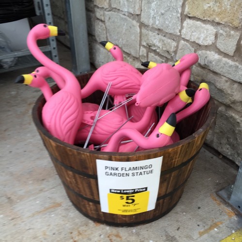 Pink_Flamingo_Sale.jpg