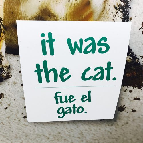It was the cat