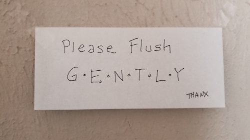 Please Flush Gently