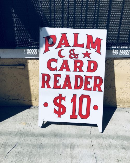 Palm & Card Reader