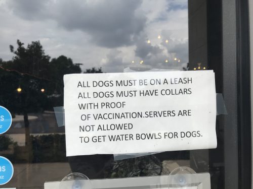 No Dog Water