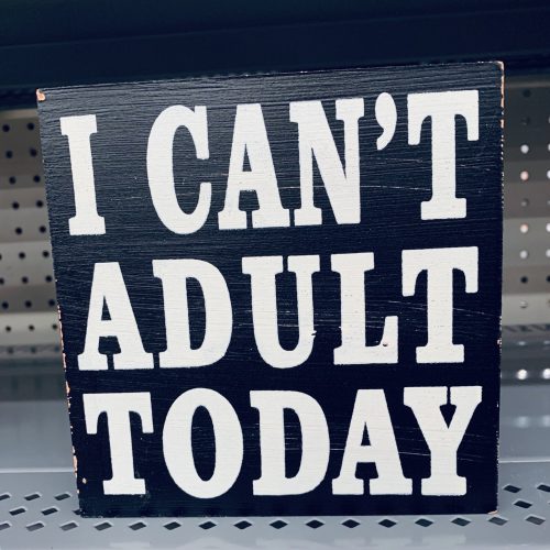 I can’t adult today