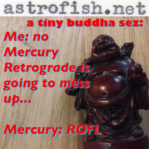 Tiny Buddha and Mercury RX